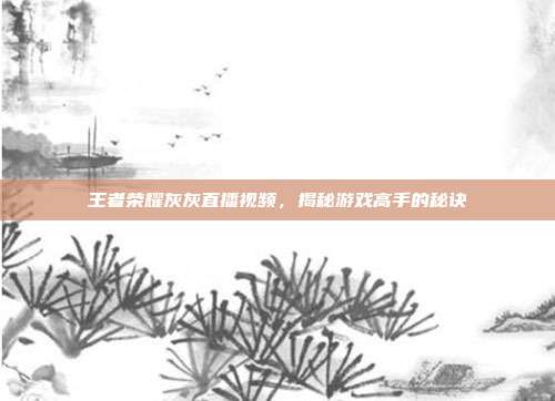 王者荣耀灰灰直播视频，揭秘游戏高手的秘诀
