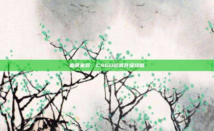 雷雨来袭，CSGO战术升级攻略