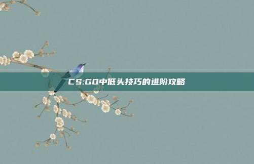 CS:GO中低头技巧的进阶攻略