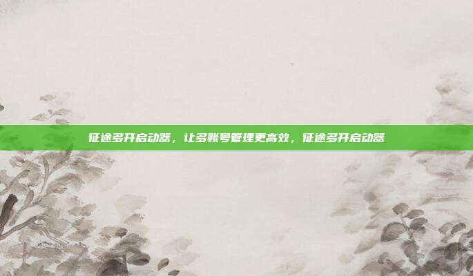 征途多开启动器，让多账号管理更高效，征途多开启动器