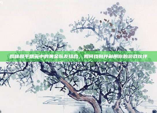 揭秘和平精英中的黄金队友组合,如何找到并利用你的游戏伙伴