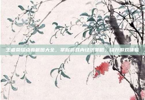 王者荣耀点券截图大全,掌握游戏内经济策略,提升游戏体验