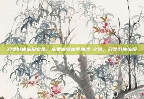 幻灵游侠练级实录，从菜鸟到高手的涅槃之路，幻灵游侠练级
