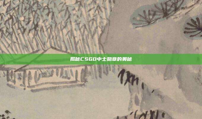 揭秘CSGO中士勋章的奥秘