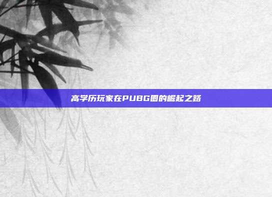 高学历玩家在PUBG圈的崛起之路