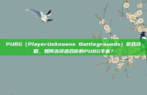 PUBG（PlayerUnknowns Battlegrounds）游戏攻略，如何选择适合你的PUBG手套？