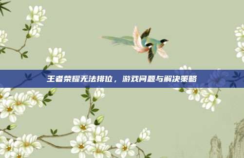 王者荣耀无法排位,游戏问题与解决策略