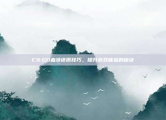 CS:GO血液还原技巧，提升游戏体验的秘诀