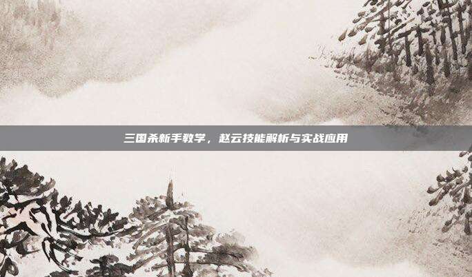 三国杀新手教学，赵云技能解析与实战应用