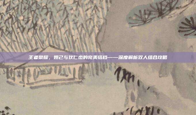 王者荣耀,妲己与狄仁杰的完美搭档——深度解析双人组合攻略