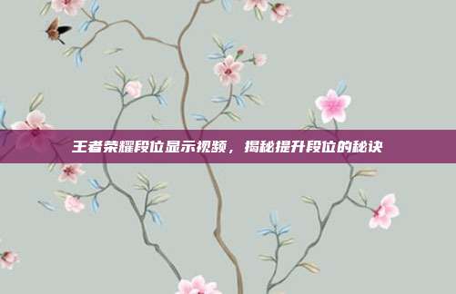 王者荣耀段位显示视频，揭秘提升段位的秘诀