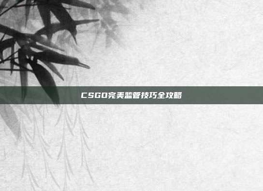 CSGO完美监管技巧全攻略