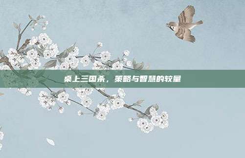 桌上三国杀，策略与智慧的较量