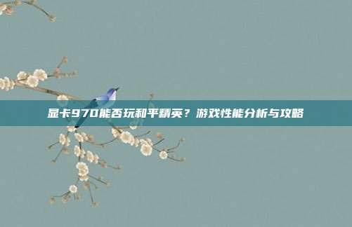 显卡970能否玩和平精英？游戏性能分析与攻略