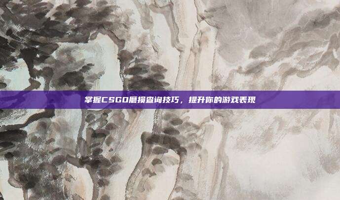掌握CSGO磨损查询技巧,提升你的游戏表现