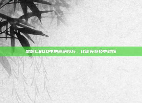 掌握CSGO中的翅膀技巧,让你在竞技中翱翔
