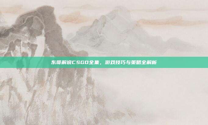 东哥解说CSGO全集,游戏技巧与策略全解析