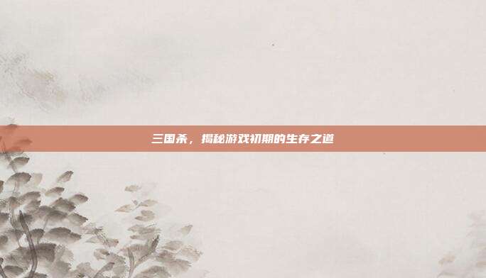 三国杀，揭秘游戏初期的生存之道