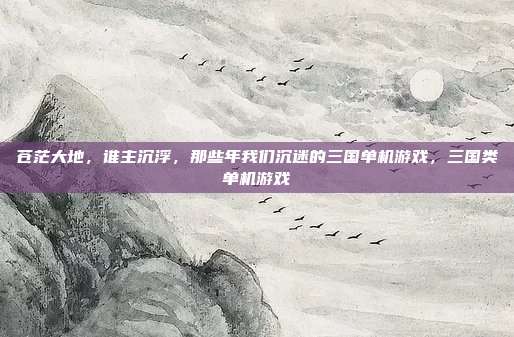 苍茫大地，谁主沉浮，那些年我们沉迷的三国单机游戏，三国类单机游戏