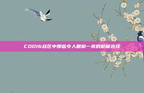 COD16战区中那些令人眼前一亮的枪械选择