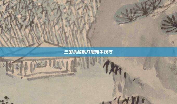 三国杀组队开黑新手技巧