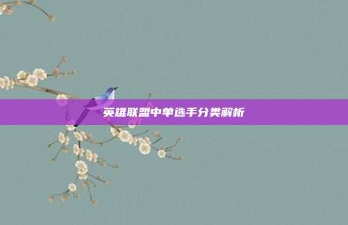 英雄联盟中单选手分类解析