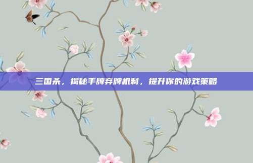 三国杀,揭秘手牌弃牌机制,提升你的游戏策略