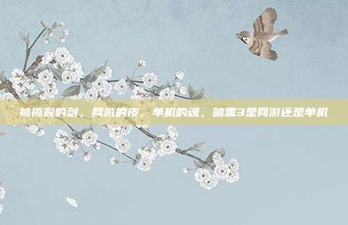 被撕裂的剑,网游的皮,单机的魂,暗黑3是网游还是单机