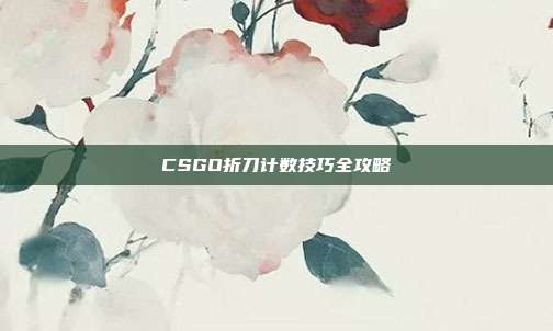 CSGO折刀计数技巧全攻略