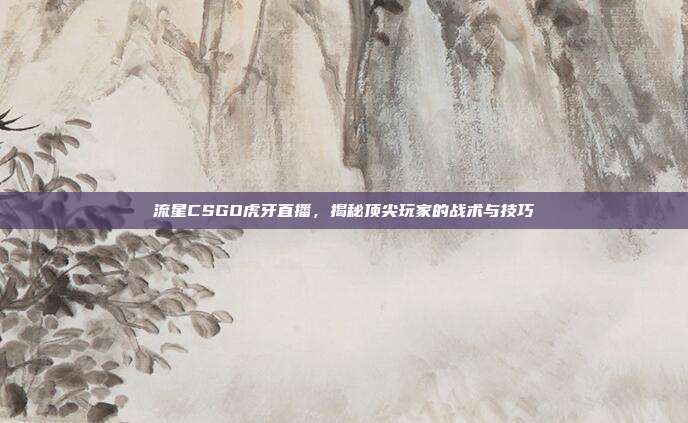 流星CSGO虎牙直播,揭秘顶尖玩家的战术与技巧