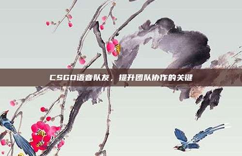 CSGO语音队友,提升团队协作的关键