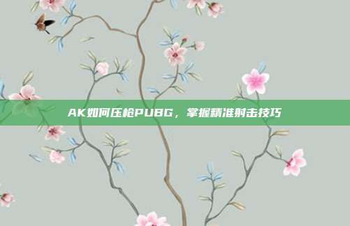 AK如何压枪PUBG,掌握精准射击技巧