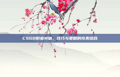 CSGO职业突破,技巧与策略的完美结合