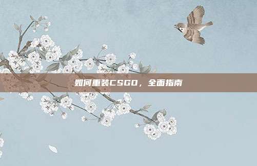如何重装CSGO，全面指南