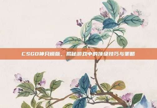 CSGO神只模版,揭秘游戏中的顶级技巧与策略
