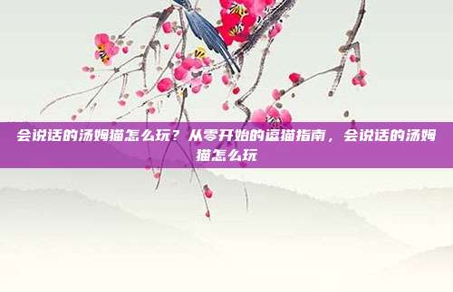 会说话的汤姆猫怎么玩？从零开始的逗猫指南，会说话的汤姆猫怎么玩