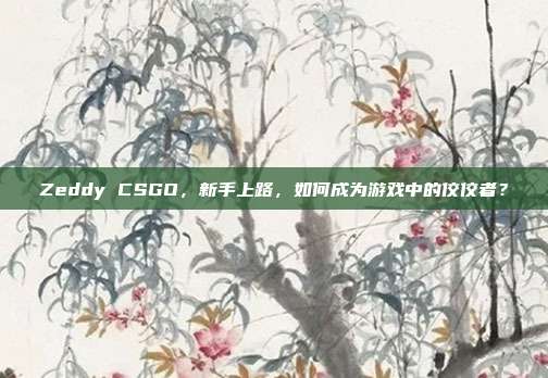 Zeddy CSGO,新手上路,如何成为游戏中的佼佼者?