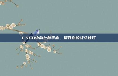 CSGO中的匕首手套,提升你的战斗技巧