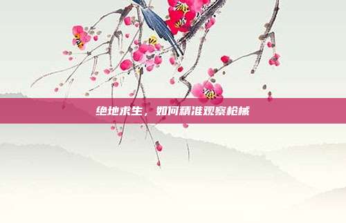 绝地求生,如何精准观察枪械