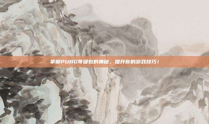 掌握PUBG等级包的奥秘，提升你的游戏技巧！