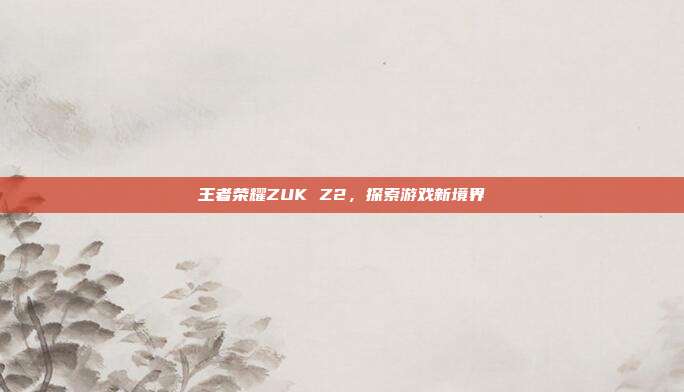 王者荣耀ZUK Z2,探索游戏新境界