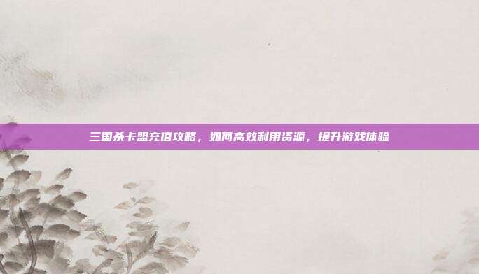 三国杀卡盟充值攻略,如何高效利用资源,提升游戏体验