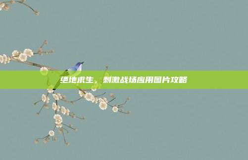 绝地求生，刺激战场应用图片攻略