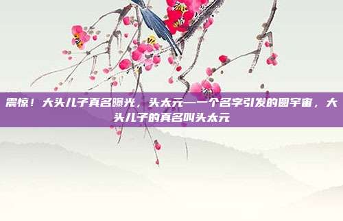 震惊！大头儿子真名曝光，头太元—一个名字引发的圆宇宙，大头儿子的真名叫头太元