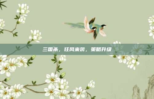 三国杀,狂风来袭,策略升级