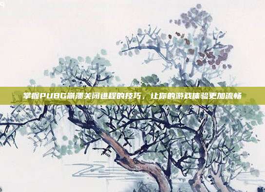 掌握PUBG崩溃关闭进程的技巧,让你的游戏体验更加流畅