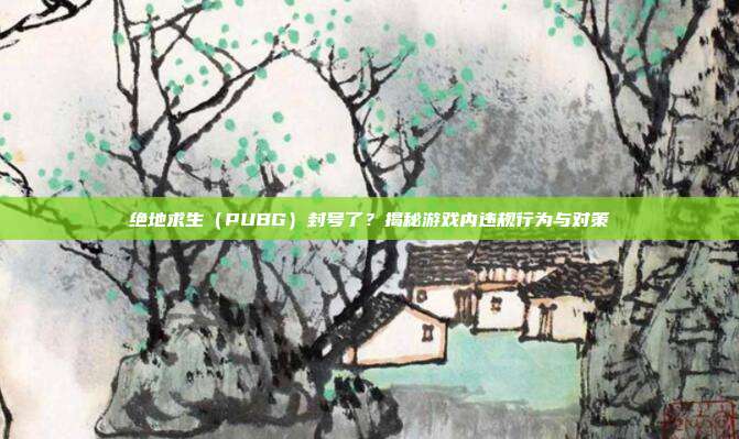 绝地求生（PUBG）封号了？揭秘游戏内违规行为与对策