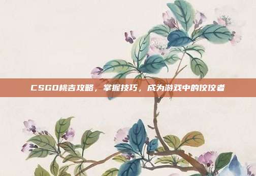 CSGO桃吉攻略，掌握技巧，成为游戏中的佼佼者
