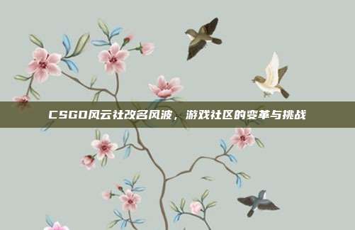 CSGO风云社改名风波，游戏社区的变革与挑战