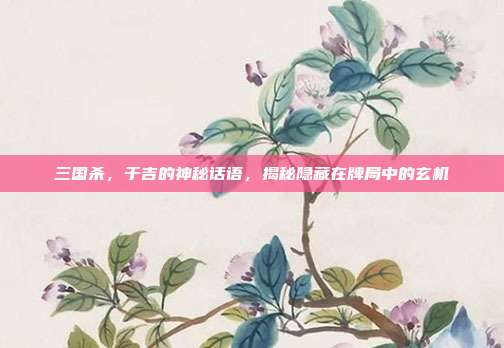 三国杀，于吉的神秘话语，揭秘隐藏在牌局中的玄机